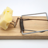 mousetrap with cheese